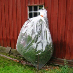 Barry Juletrepose -Weston Butikk 10713 5